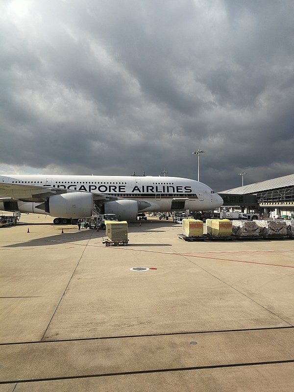 中国河南郑州到土耳其超大件拆卸空运