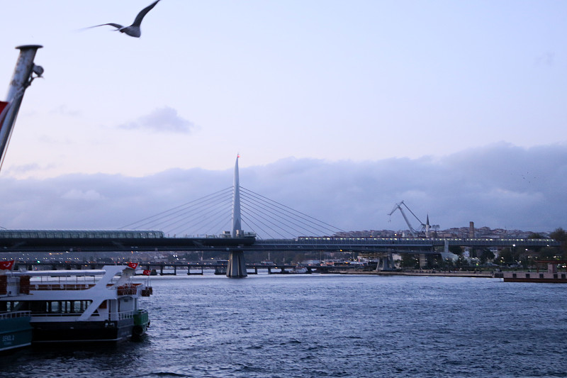 中国广东东莞到保加利亚危险品国际运输