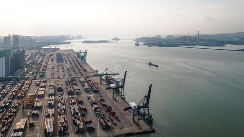 中国广东深圳到墨西哥冷藏船整舱运输定点轮航线