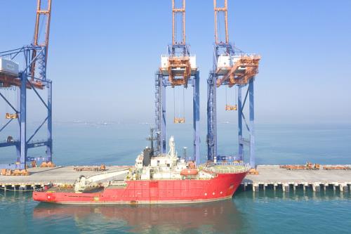 中国河北石家庄到荷兰冷藏船整舱运输绿色海运走廊