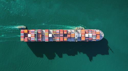 中国辽宁大连到肯尼亚冷藏船整舱运输专属船舶航路