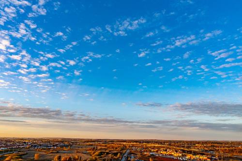 中国山东青岛到荷兰生鲜冷链空运
