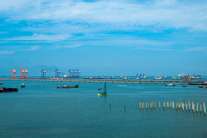 中国山东青岛到埃及绿色航空货运