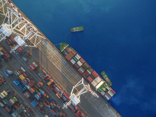 中国广东东莞到马来西亚受限制物品矿物标本粉跨境海运专线