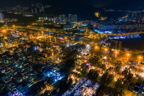 中国广东深圳到荷兰受限品类植物种子专属海运服务