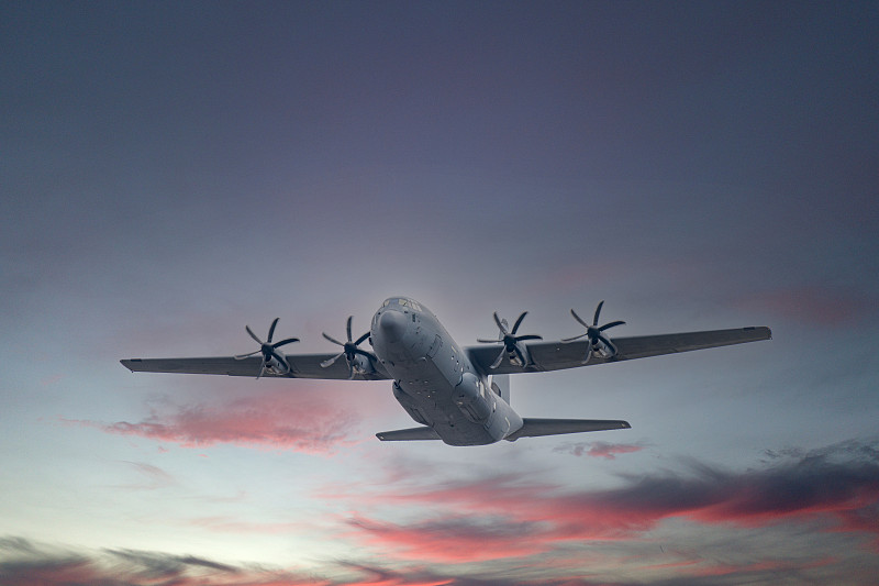 中国山东青岛到葡萄牙管控品狗咬胶