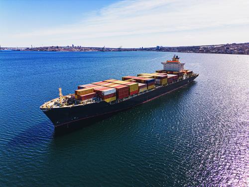 中国浙江宁波到马来西亚高风险货物仿施华洛世奇水晶门到门海运专线