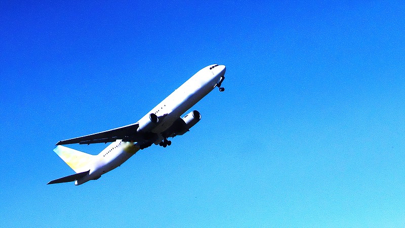 中国福建厦门到马来西亚海关敏感货物艺术品