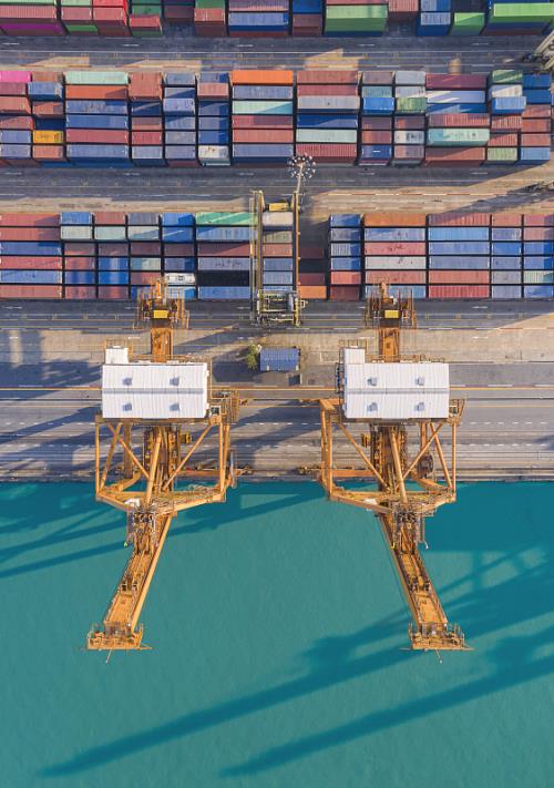 中国广东深圳到印度限制品宠物食品国际海运专线