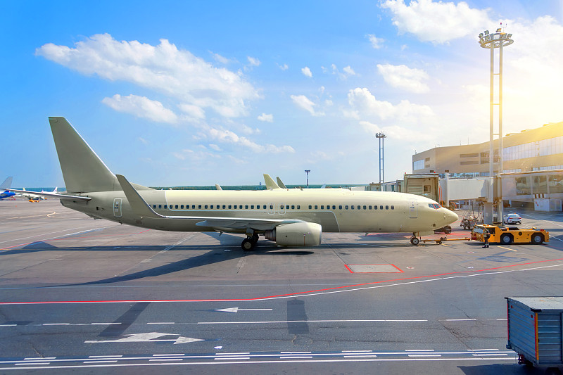 中国广东广州到德国非常规品类实验用细菌