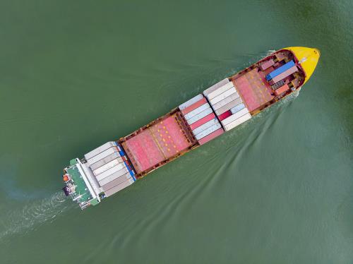 中国上海到阿根廷非常规货物猫粮海运专线