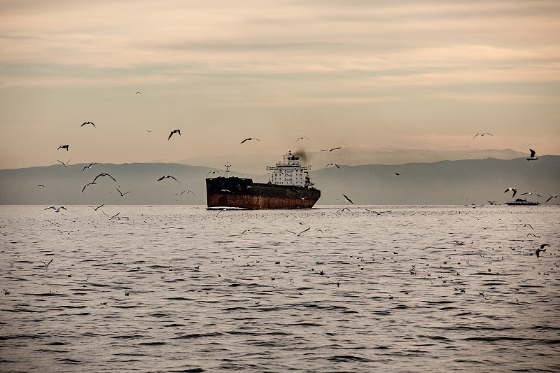 中国天津到阿联酋经济小包跨境代发费用是多少 中国天津到阿联酋经济小包跨境代发费用是多少