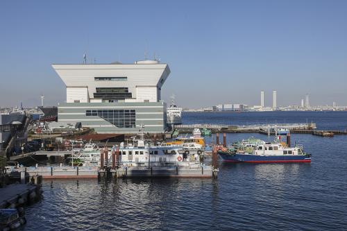 中国广东广州到越南快递（DHL/FedEx）海外代发运输费