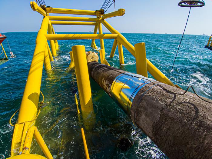 随州新春物流劳务服务有限公司相应信息