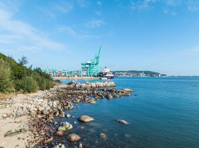 mercadolibre物流怎么解决（美客多MercadoLibre物流方式解析）相关信息